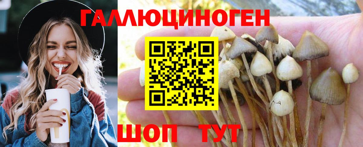 Галлюциногенные грибы Magic Shrooms Михайловка
