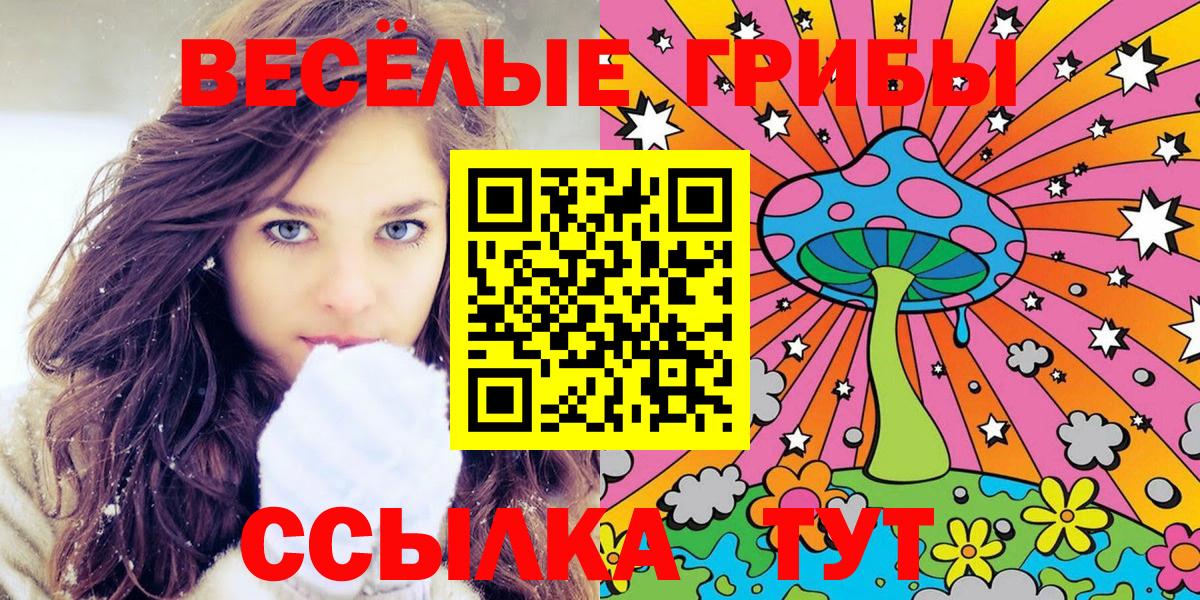 Галлюциногенные грибы Magic Shrooms  Вход с VPN  Михайловка  Галлюциногенные грибы GOLDEN TEACHER 